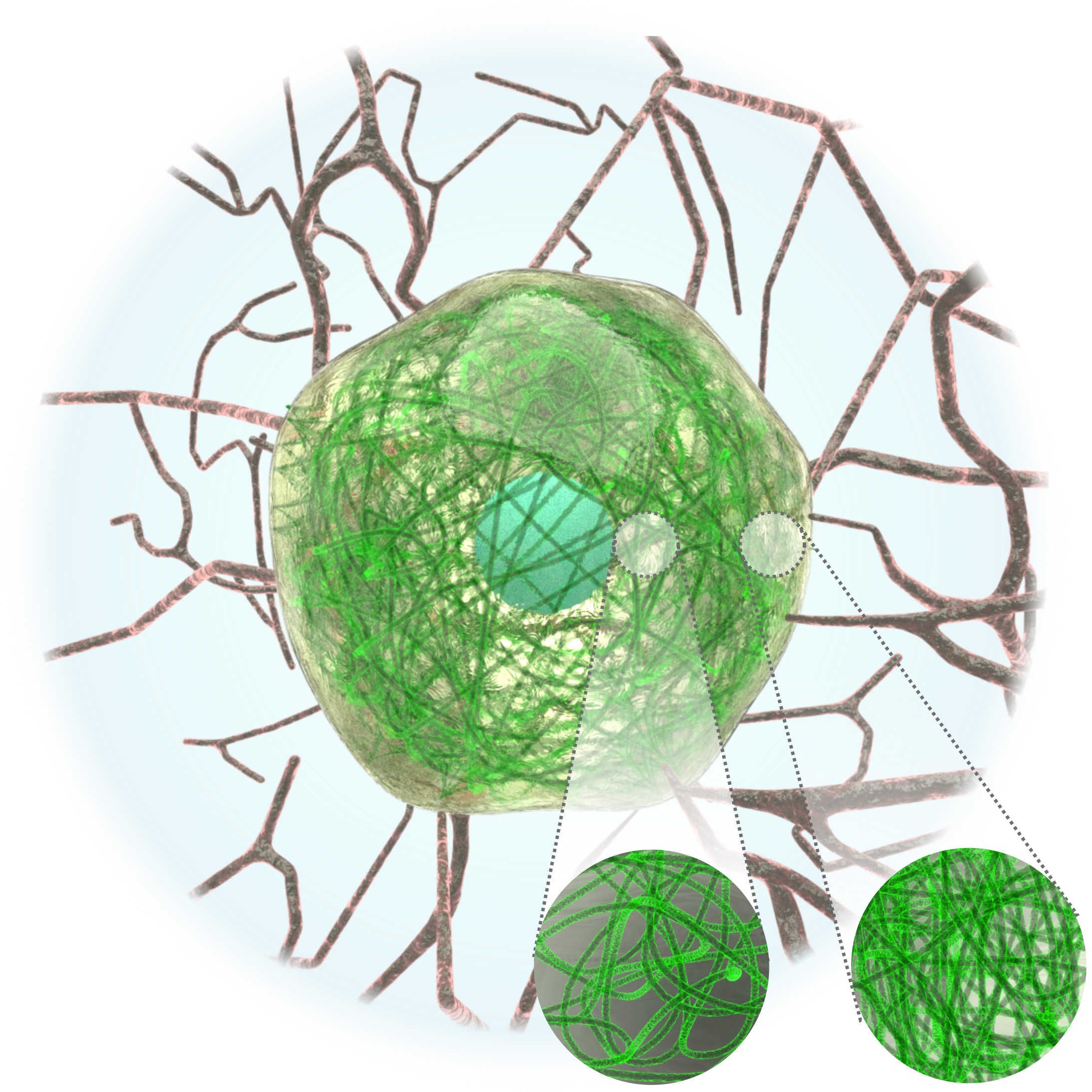 Cellular Poroelasticity during Freezing