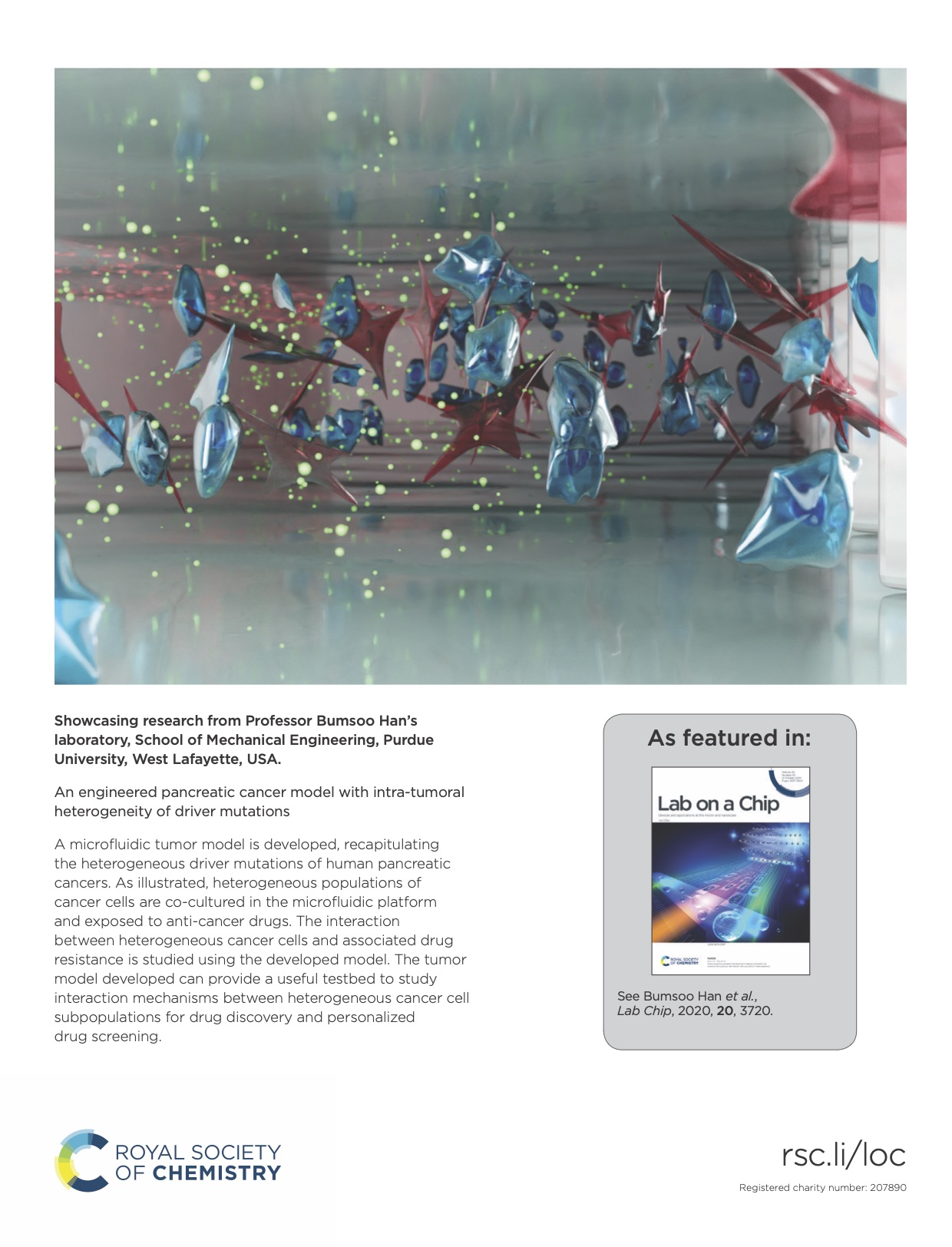 Back Cover of Lab on A Chip