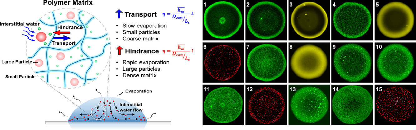 Scaling law for hydrogel printing