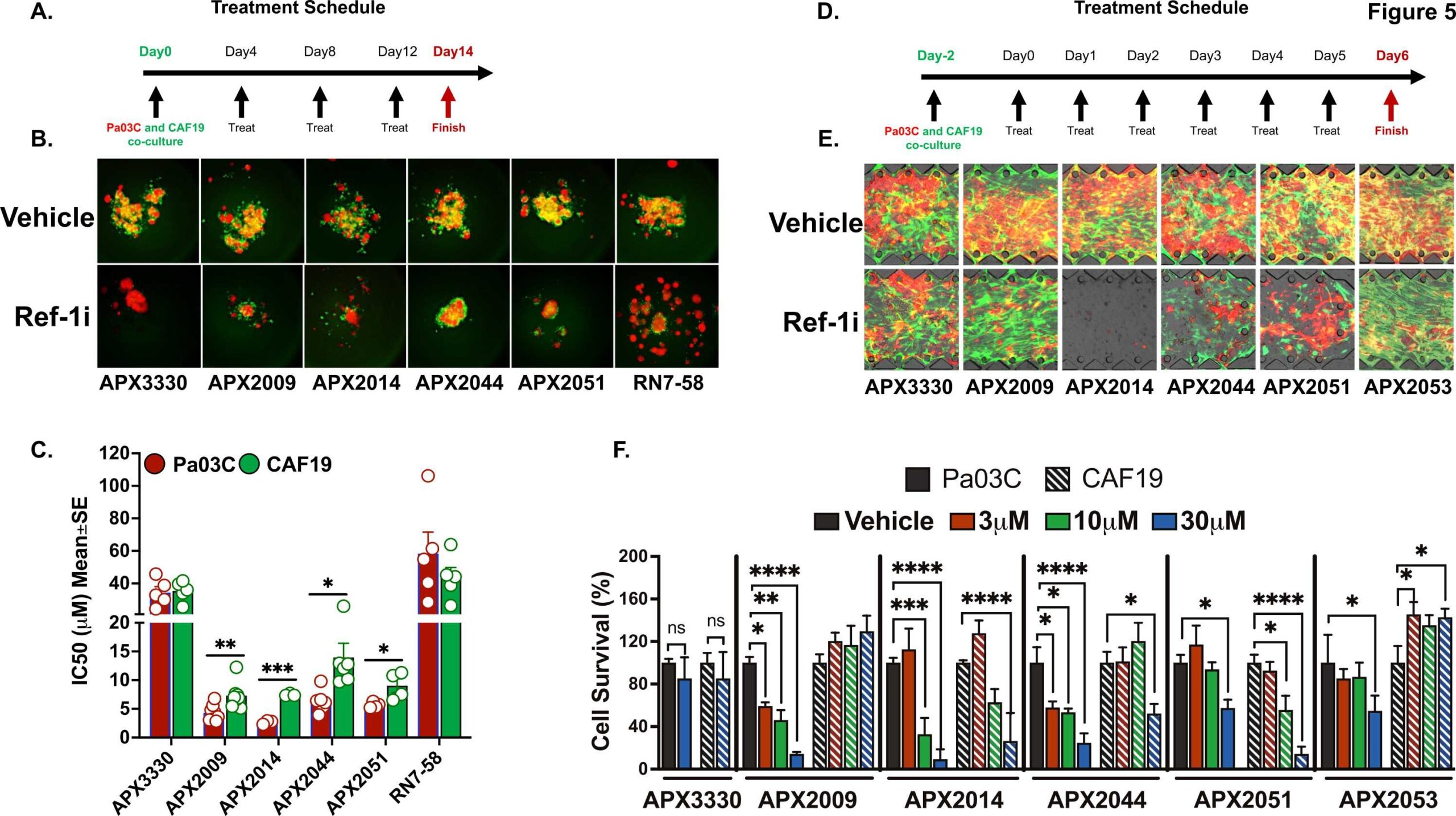 Drug Discovery using 3D Tumor Models