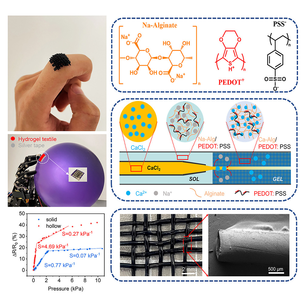 Conductive Hydrogel