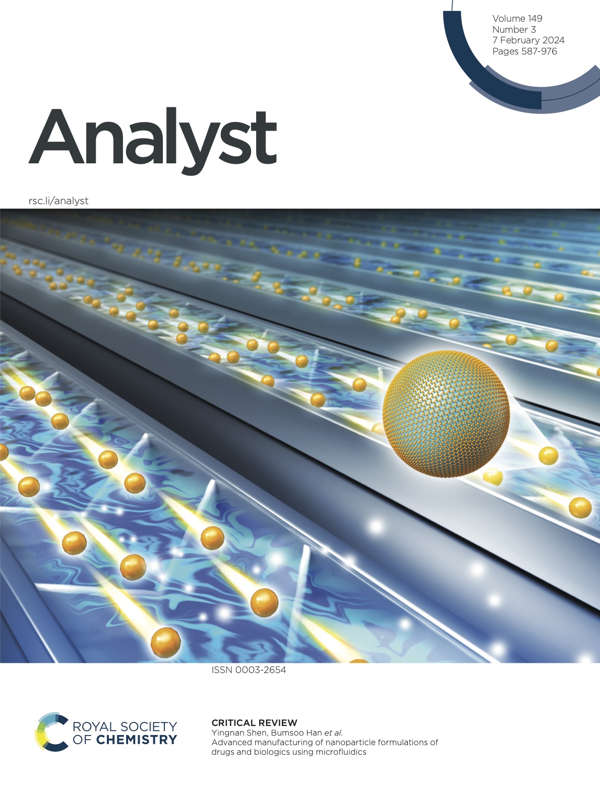 Nanoparticle Manufacturing