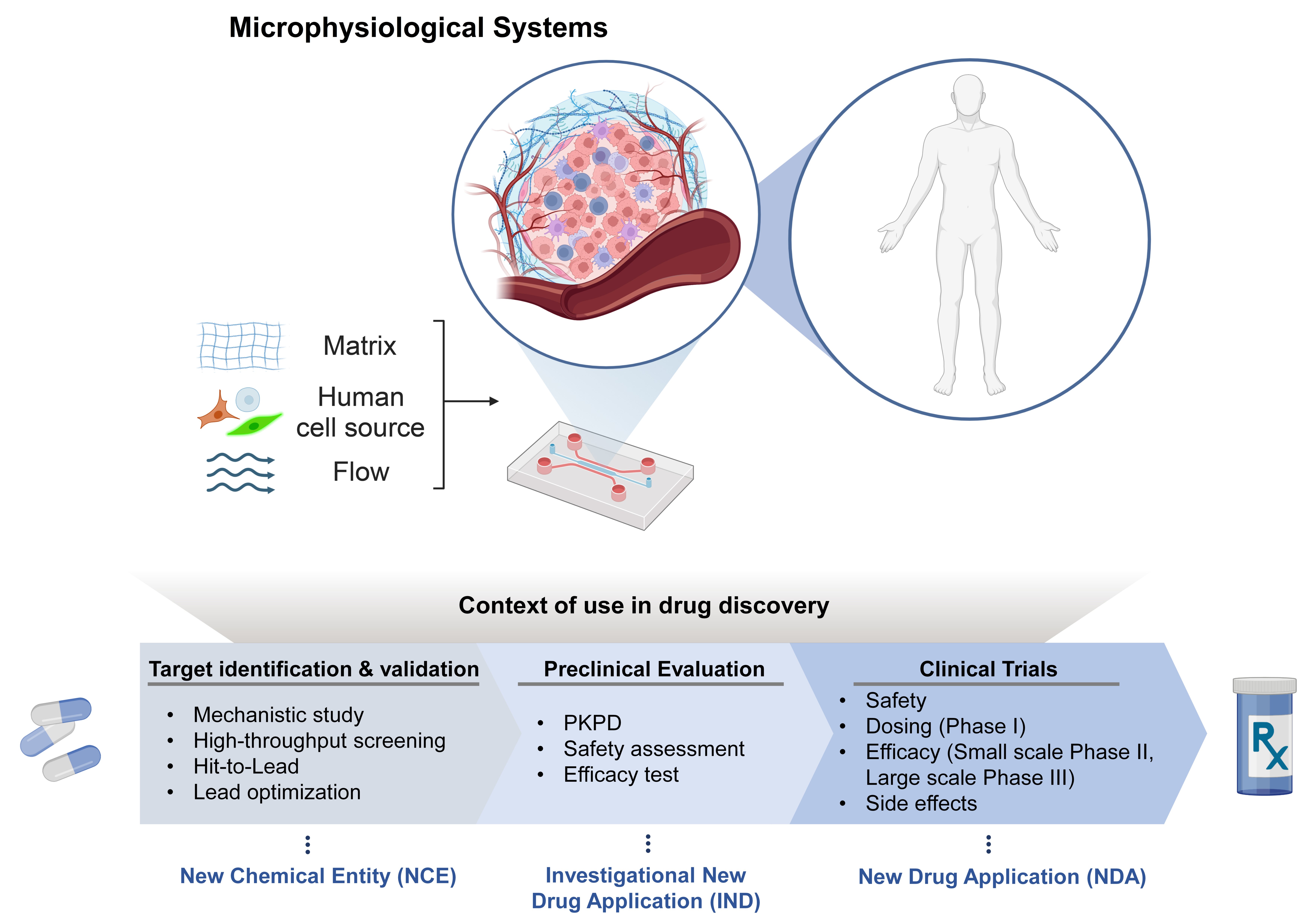 MPS as Drug Discovery Tools
